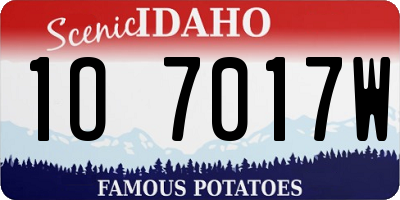 ID license plate 1O7017W