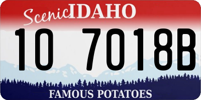 ID license plate 1O7018B