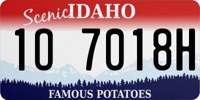 ID license plate 1O7018H