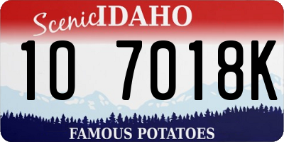 ID license plate 1O7018K