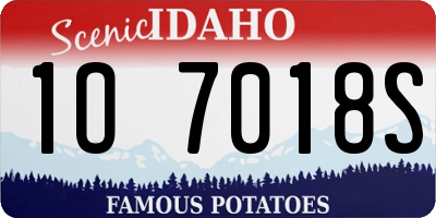 ID license plate 1O7018S