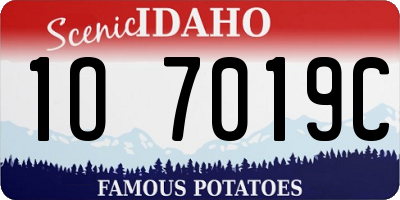 ID license plate 1O7019C