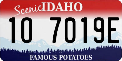 ID license plate 1O7019E