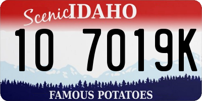 ID license plate 1O7019K