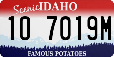 ID license plate 1O7019M