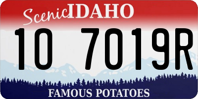 ID license plate 1O7019R