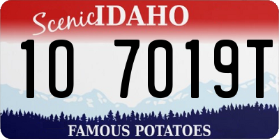 ID license plate 1O7019T