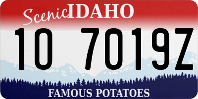 ID license plate 1O7019Z