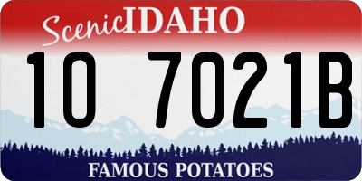 ID license plate 1O7021B