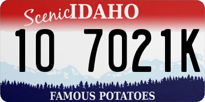 ID license plate 1O7021K