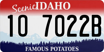 ID license plate 1O7022B
