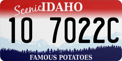 ID license plate 1O7022C