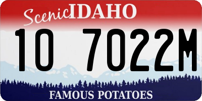 ID license plate 1O7022M