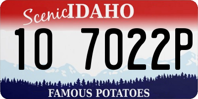 ID license plate 1O7022P
