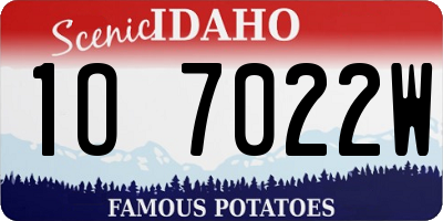 ID license plate 1O7022W