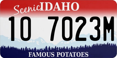 ID license plate 1O7023M