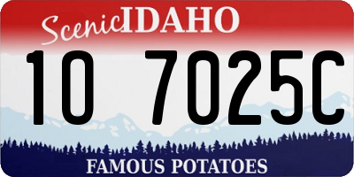 ID license plate 1O7025C