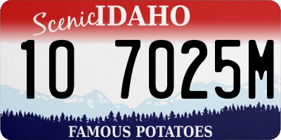 ID license plate 1O7025M