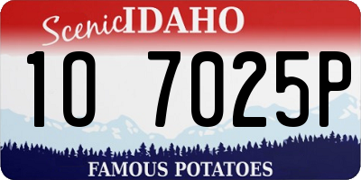 ID license plate 1O7025P