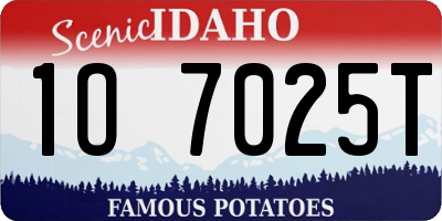 ID license plate 1O7025T