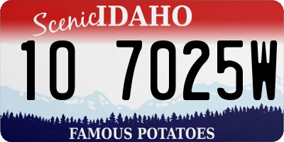 ID license plate 1O7025W