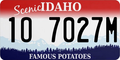 ID license plate 1O7027M
