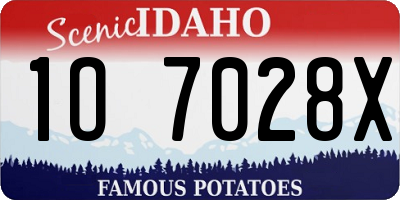 ID license plate 1O7028X