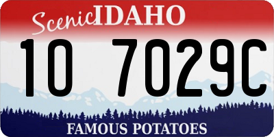 ID license plate 1O7029C