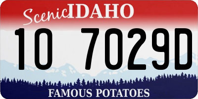 ID license plate 1O7029D