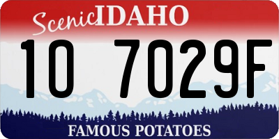 ID license plate 1O7029F