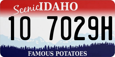 ID license plate 1O7029H