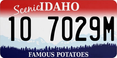 ID license plate 1O7029M