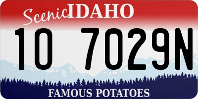 ID license plate 1O7029N