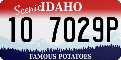 ID license plate 1O7029P