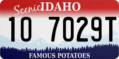 ID license plate 1O7029T