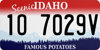 ID license plate 1O7029V