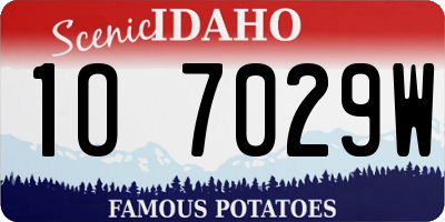 ID license plate 1O7029W
