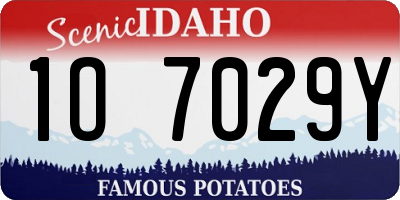 ID license plate 1O7029Y