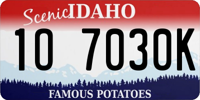 ID license plate 1O7030K