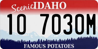 ID license plate 1O7030M