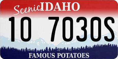 ID license plate 1O7030S