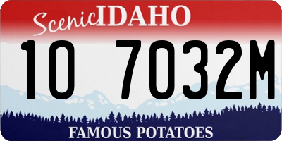 ID license plate 1O7032M