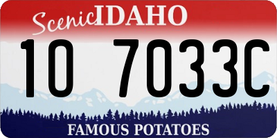 ID license plate 1O7033C