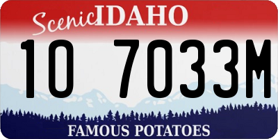 ID license plate 1O7033M