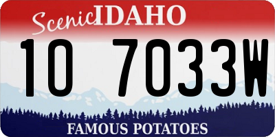 ID license plate 1O7033W