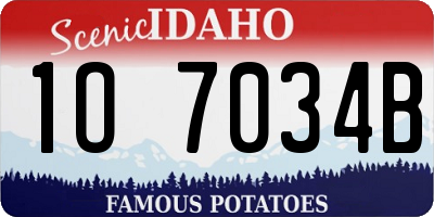 ID license plate 1O7034B