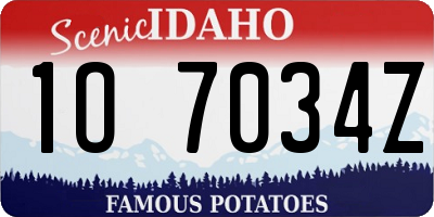 ID license plate 1O7034Z