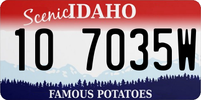 ID license plate 1O7035W
