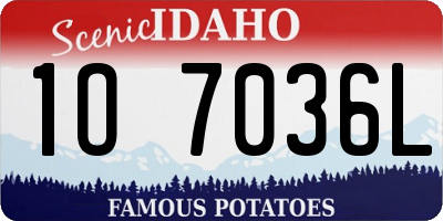 ID license plate 1O7036L