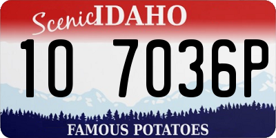 ID license plate 1O7036P